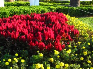 redgreens